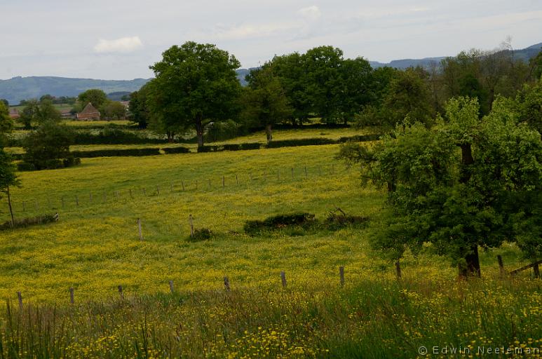 ENE-20140510-0357.jpg - Vareilles, Saône-et-Loire